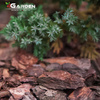 Kora sosnowa, suche antybakteryjne podłoże do roślin doniczkowych 2-4cm 6L