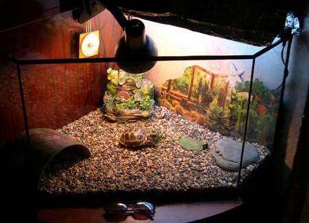 Wermikulit zloty podłoże do terrarium size S (Small) 2-4mm 8 litrów