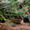 Zrębki bukowe, podłoże do terrariów i klatek size XXL 2-4cm 6 litrów