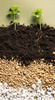 Keramzyt Ogrodniczy 4-8mm 5 Litrów