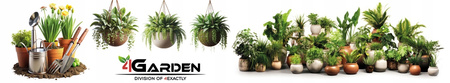 Kora Orchiata Nowozelandzka Daltons Power 9-12mm 2 Litry