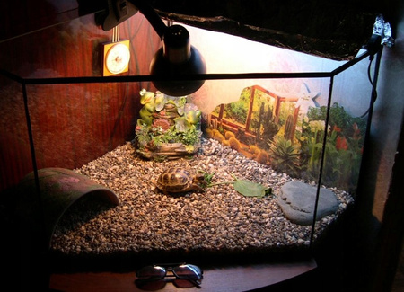 Wermikulit zloty podłoże do terrarium size S (Small) 2-4mm 8 litrów